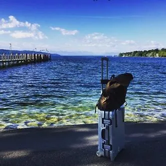 Apartment Close To Nature Lake And Starnberg