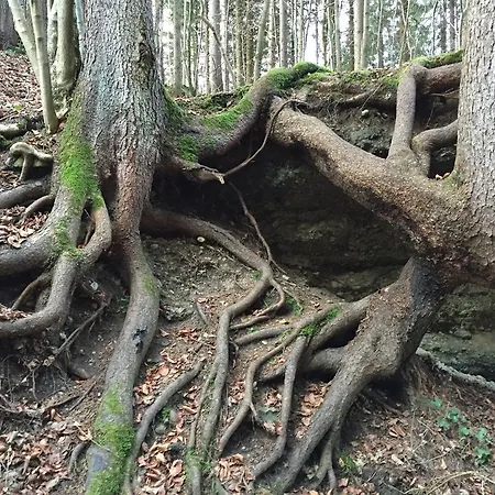 Apartment Close To Nature Lake And Starnberg *