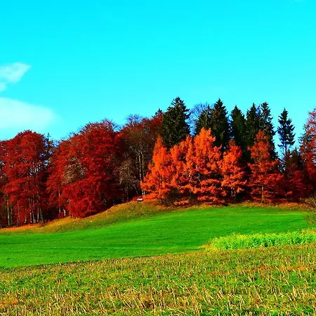 Apartment Close To Nature Lake And Starnberg * Штарнберг